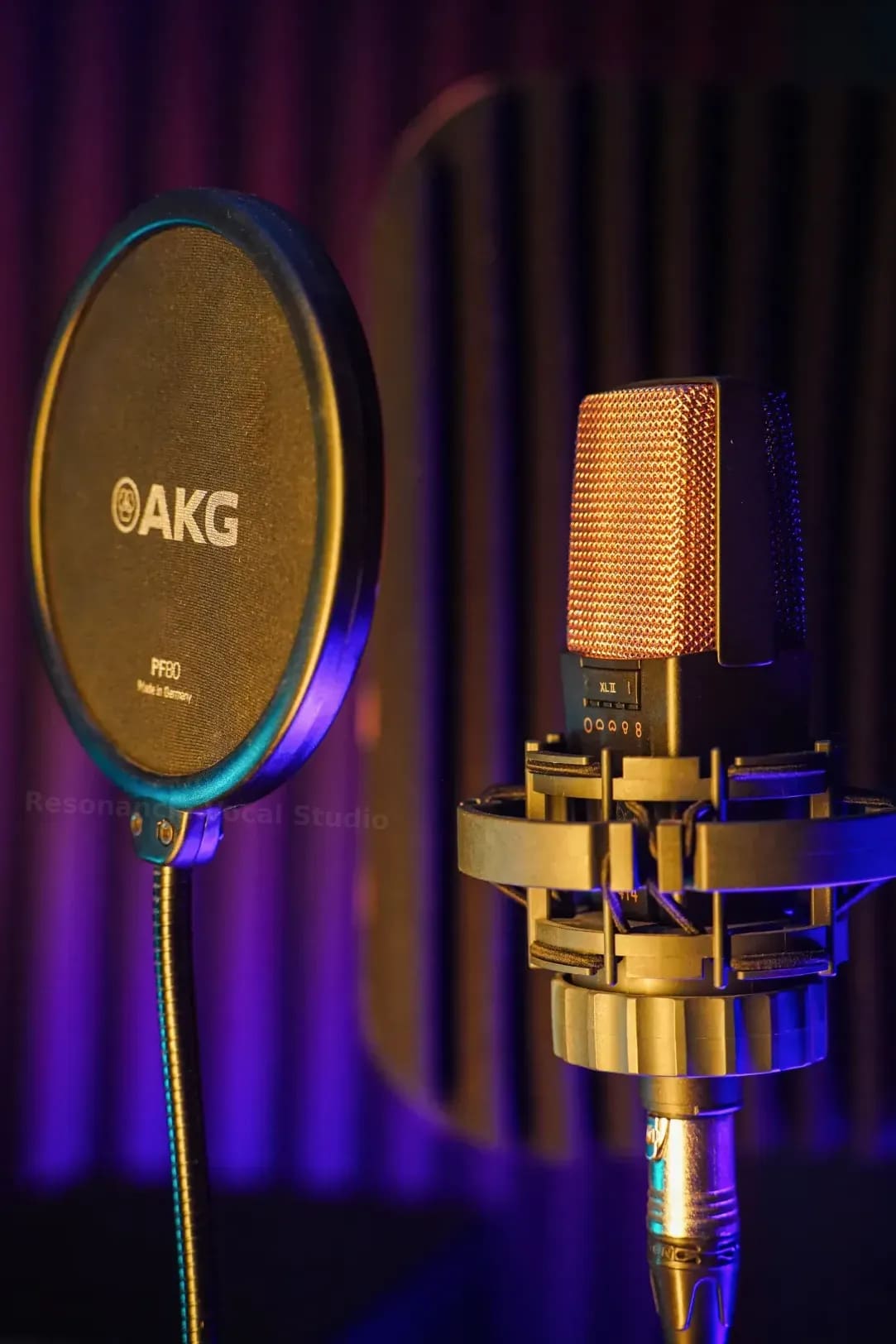 Resonancia Vocal Studio 8