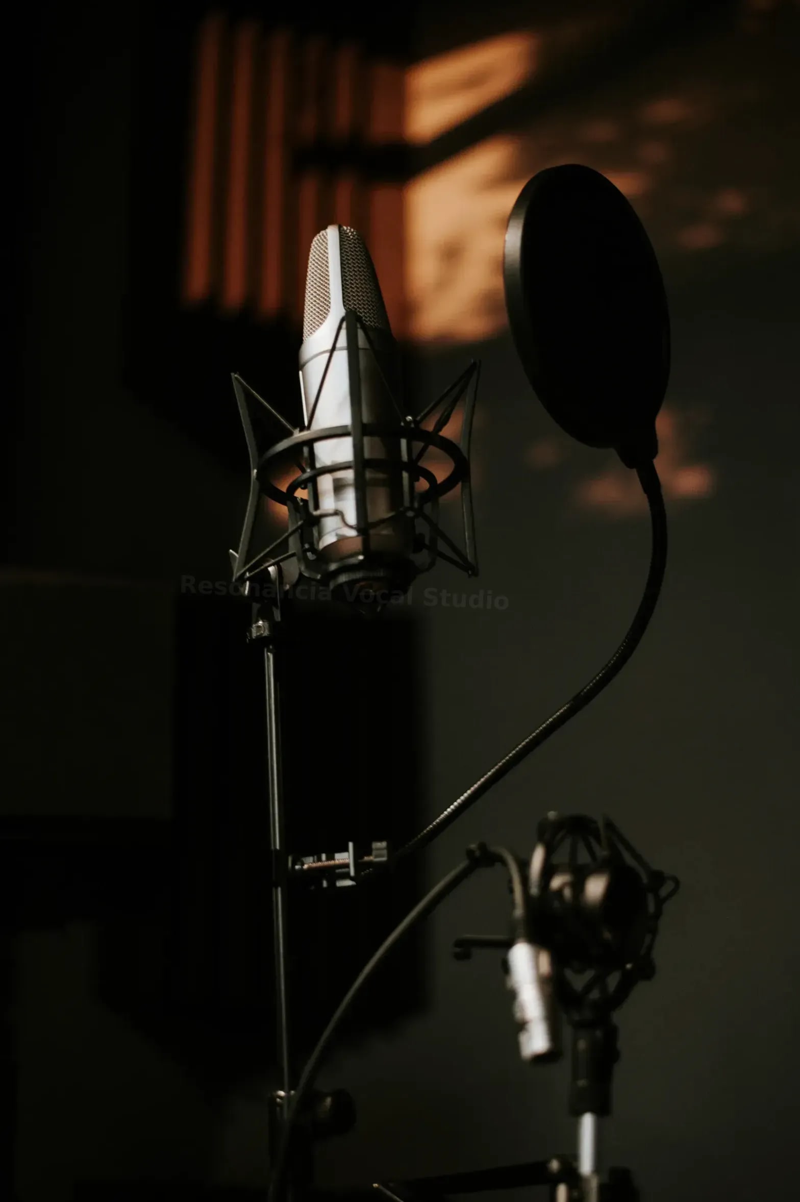 Resonancia Vocal Studio